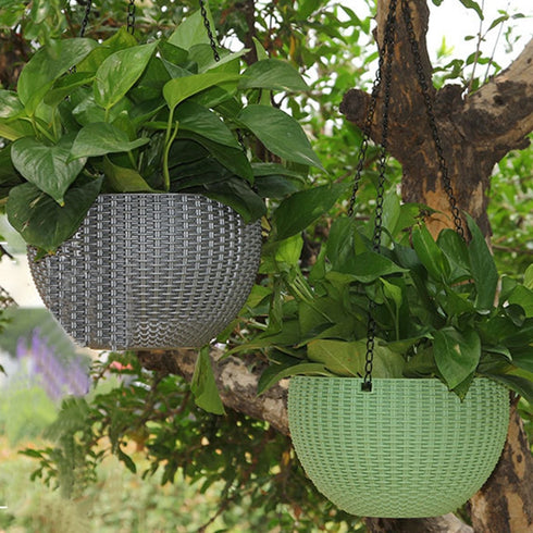 Ampel for various crops